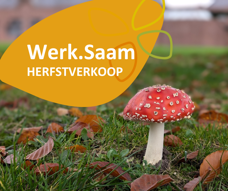 Herfstverkoop 2024