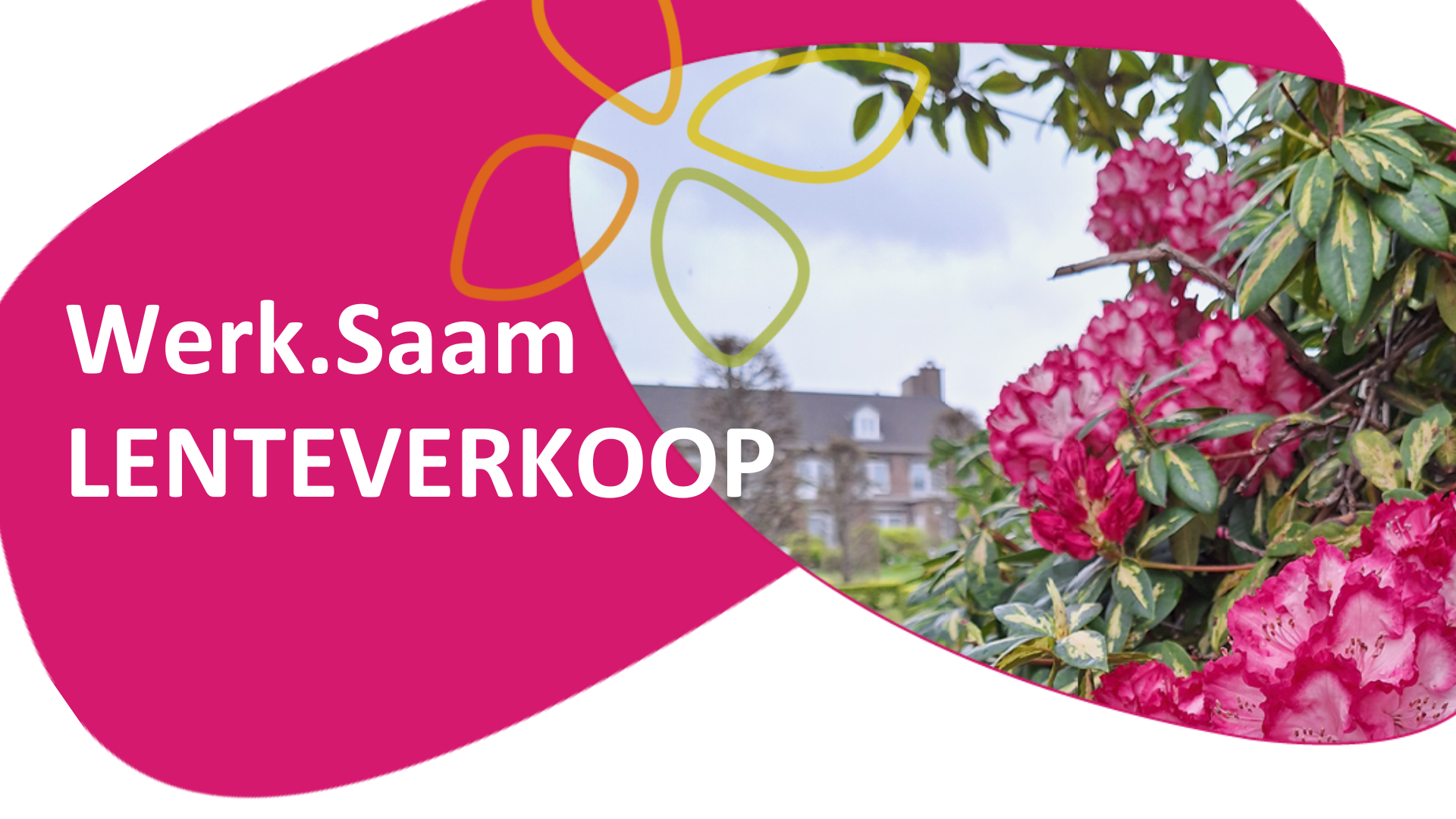 WErk.Saam lenteverkoop